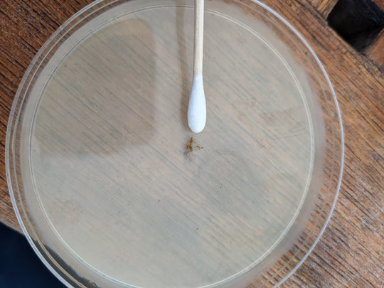 TEAK MOLD & MILDEW STAIN REMOVER