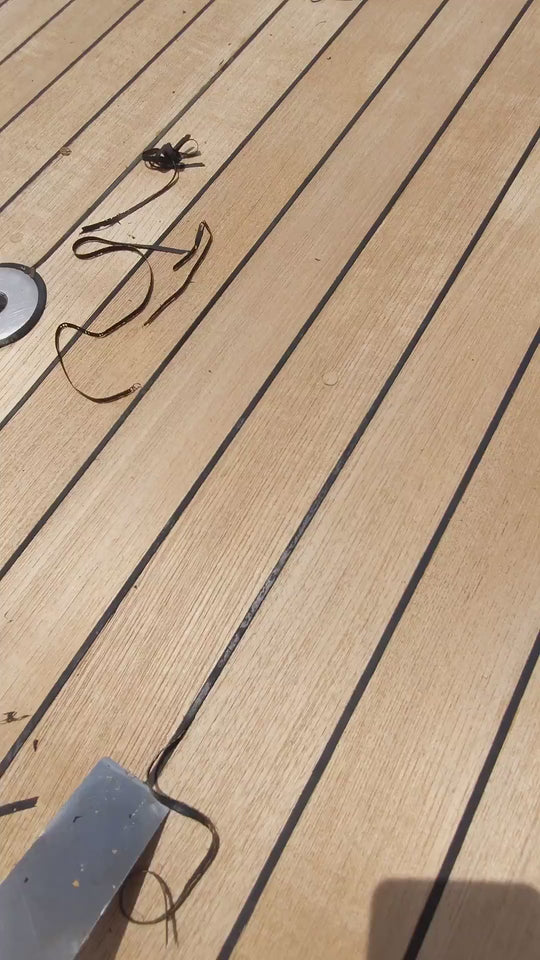 PROUD TEAK CAULKING CHISEL